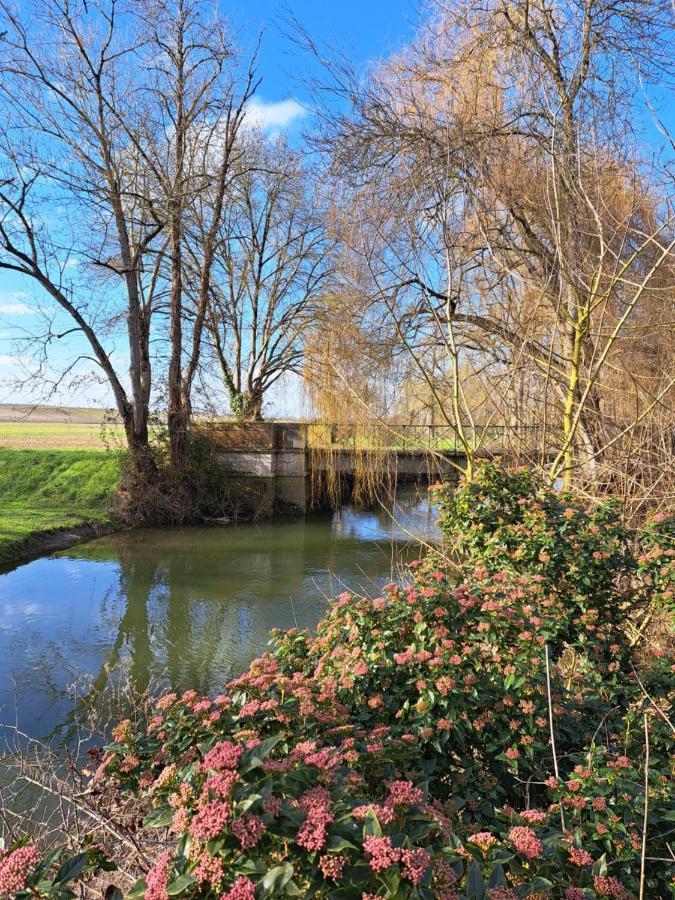 Le Moulin Etourneau - 3 Gites Avec 2 Piscines Champagnac  Exteriör bild